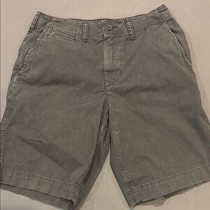 American Eagle Outfitters Gray Flat Front Shorts